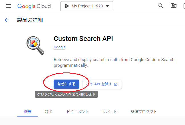 Custom Search APȈڍ